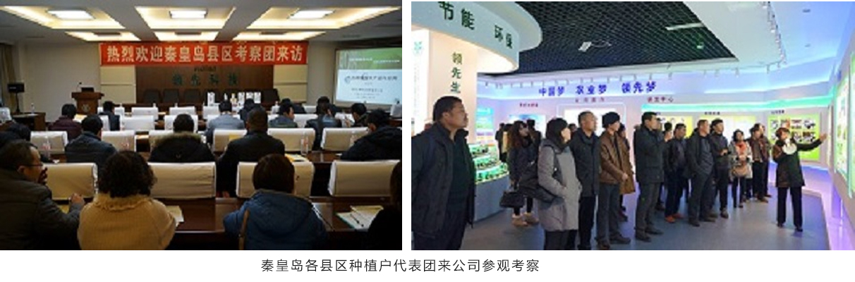 秦皇岛市农业局向导及县区莳植户代表团来公司旅行考察